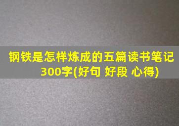 钢铁是怎样炼成的五篇读书笔记 300字(好句 好段 心得)